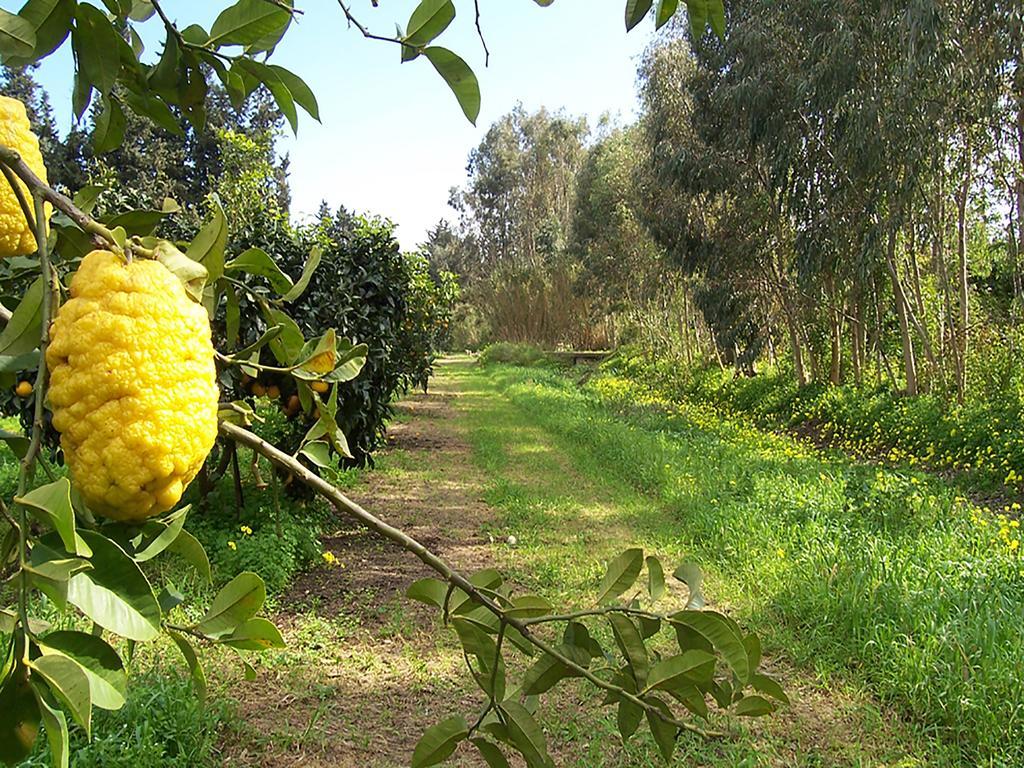 Luna&Limoni Country 穆拉沃拉 外观 照片